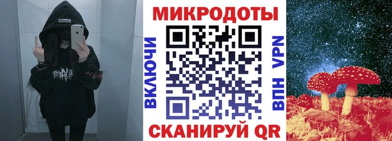 Псилоцибиновые грибы Psilocybine cubensis  Новозыбков 