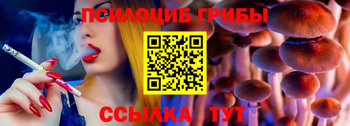 Псилоцибиновые грибы MAGIC MUSHROOMS  Вход с VPN  Новозыбков 