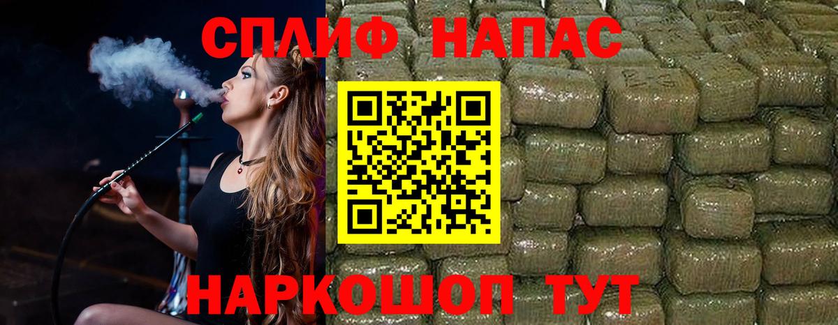 Бошки Шишки планчик Новозыбков